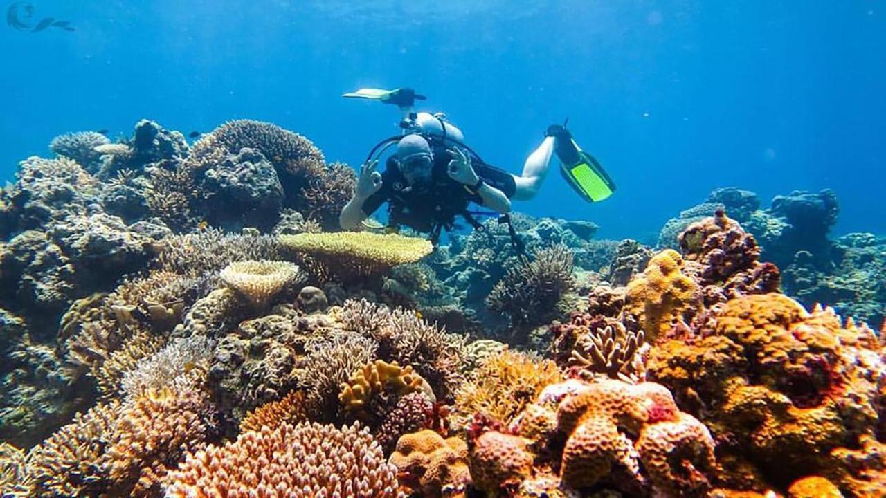 Maleo Moyo Hotel & Dive Resort Sebaru Exterior foto
